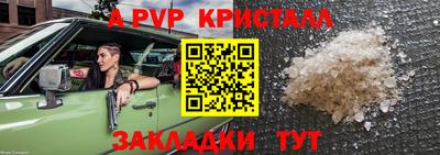 ПСИЛОЦИБИНОВЫЕ ГРИБЫ Камышлов