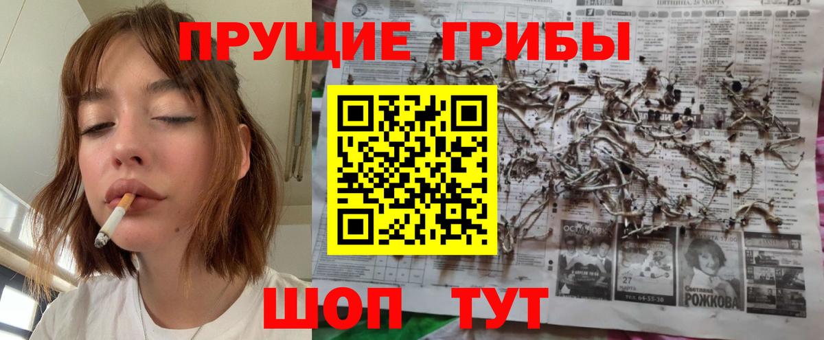 Галлюциногенные грибы прущие грибы  Галлюциногенные грибы Magic Shrooms  Вход с VPN  Знаменск 