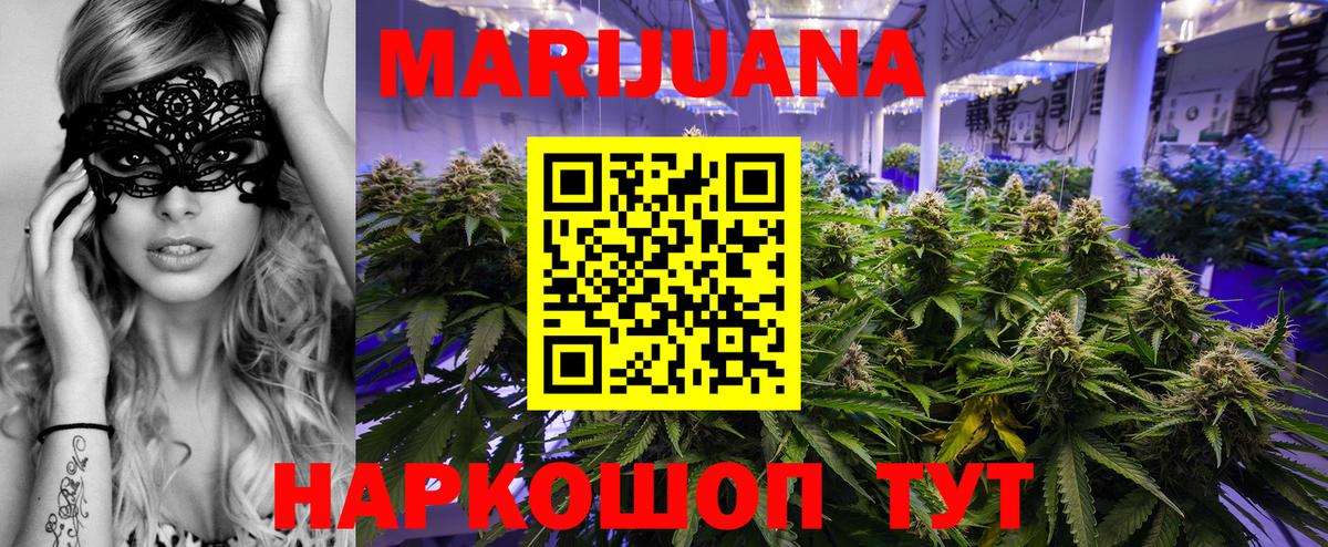Марихуана сатива Знаменск